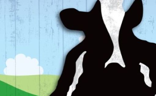 Конфликт между производителем мороженого Ben & Jerry’s и его материнской компанией Unilever достиг а...