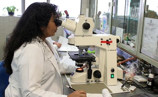 Израильские исследователи разработали новый анализ крови, позволяющий выявлять болезнь Паркинсона на...