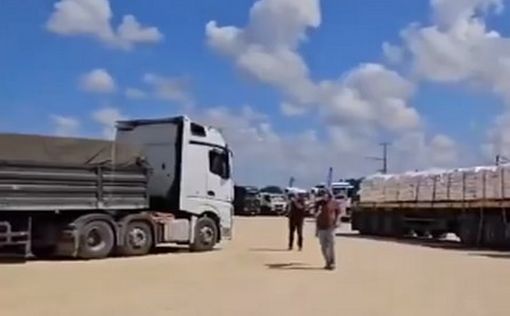 Согласно глобальной организации по мониторингу голода, полмиллиона человек в секторе Газа испытывают...