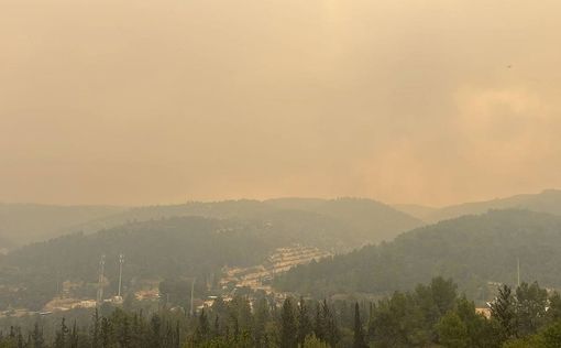 Крупный лесной пожар возле города Бейт-Шемеш был локализован через сутки после начала, сообщила пожа...