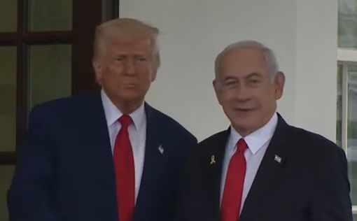  Изначально приход Дональда Трампа к власти казался благоприятным для Израиля, давая возможность бол...