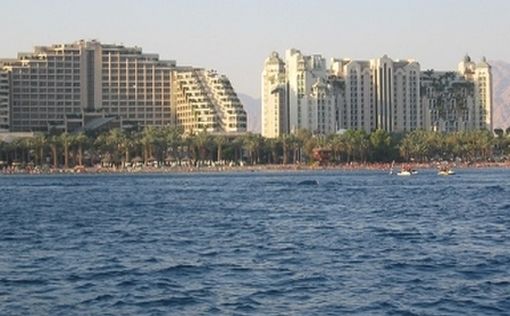 Редкая рыба-клоун была замечена дайвером Менаше Пинхасом в Эйлатском заливе на глубине 12 метров. Ры...