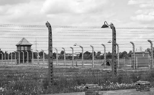 Спустя 72 года после разлуки в Освенциме женщина по имени Грета узнала трагическую правду о судьбе с...